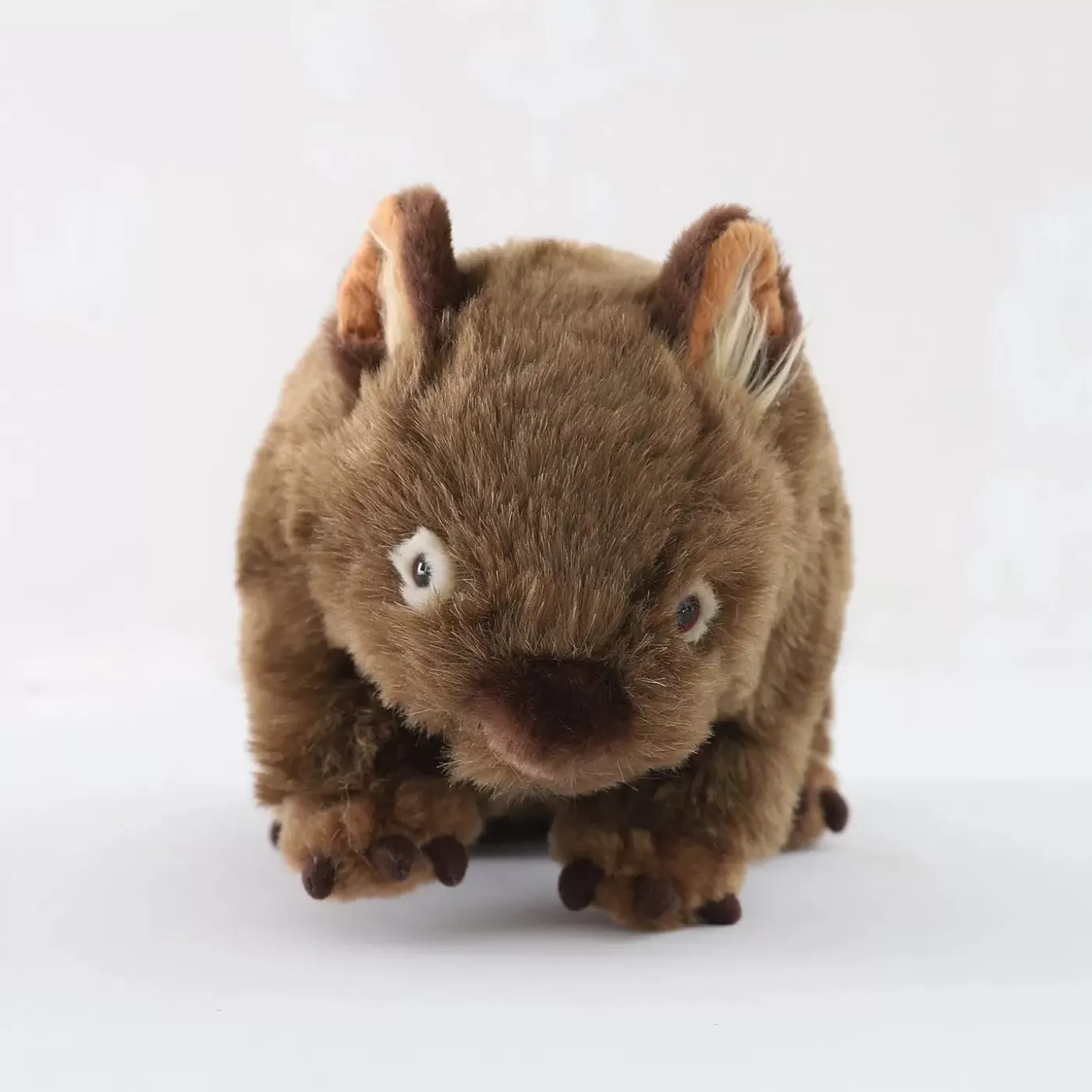 Ollies Place Banjo Wombat, Small Plush Toy< Plush Toys | Accessories