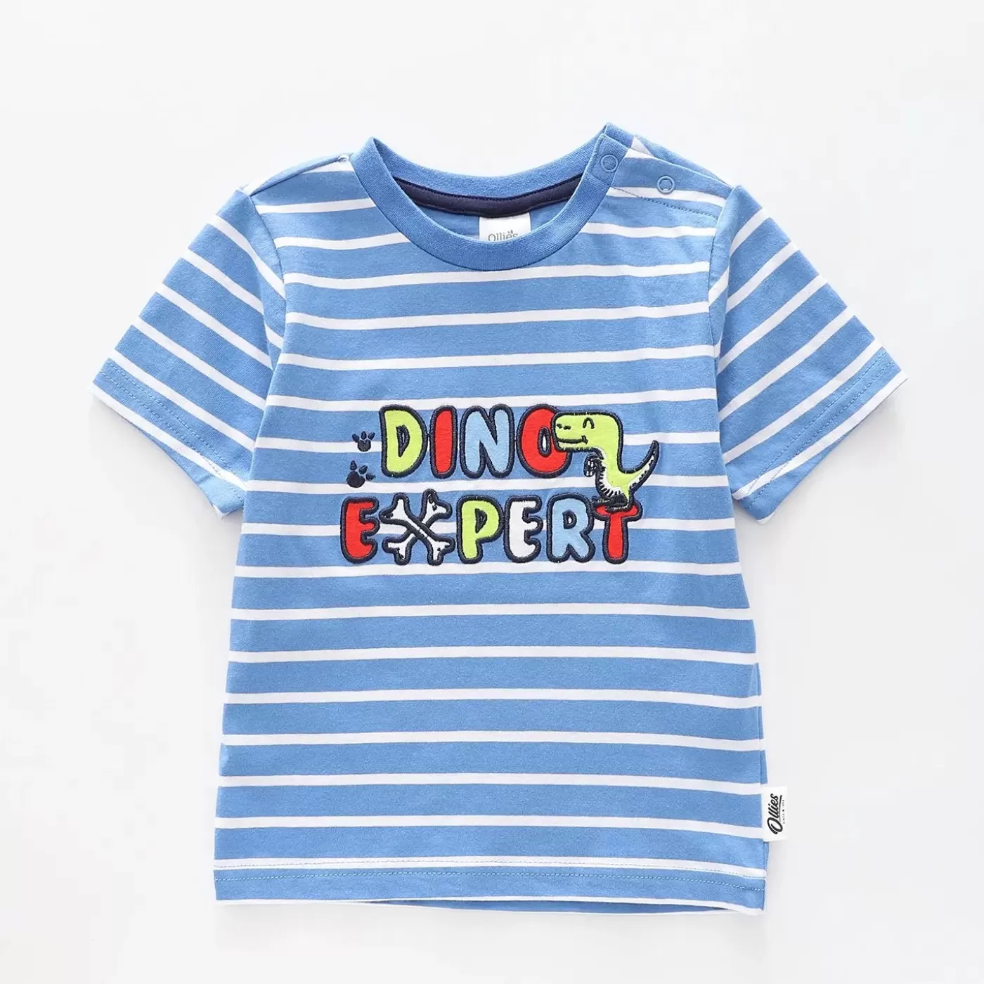 Ollies Place Boys Dino Expert Tee<BOY Tops & T-Shirts