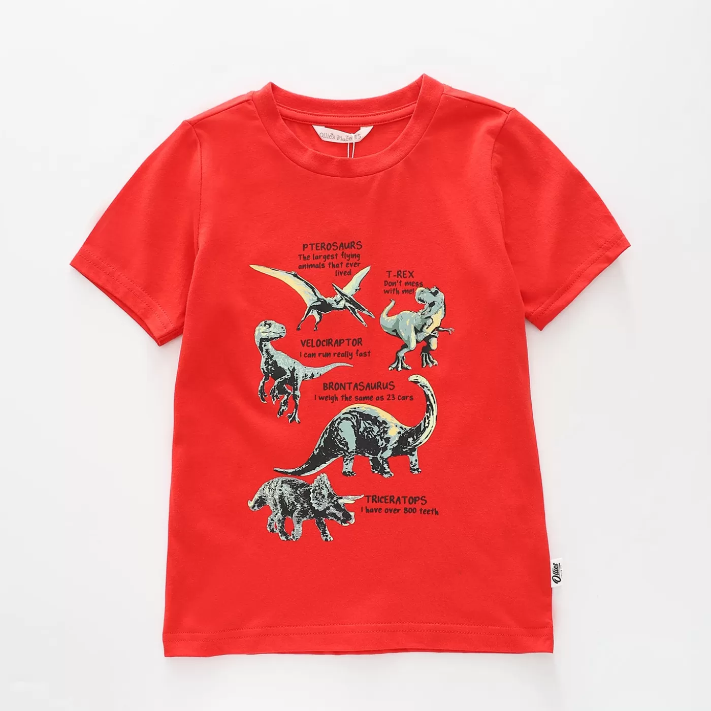 Ollies Place Dino-definition Tee<BOY T-Shirts, Tops & Polos