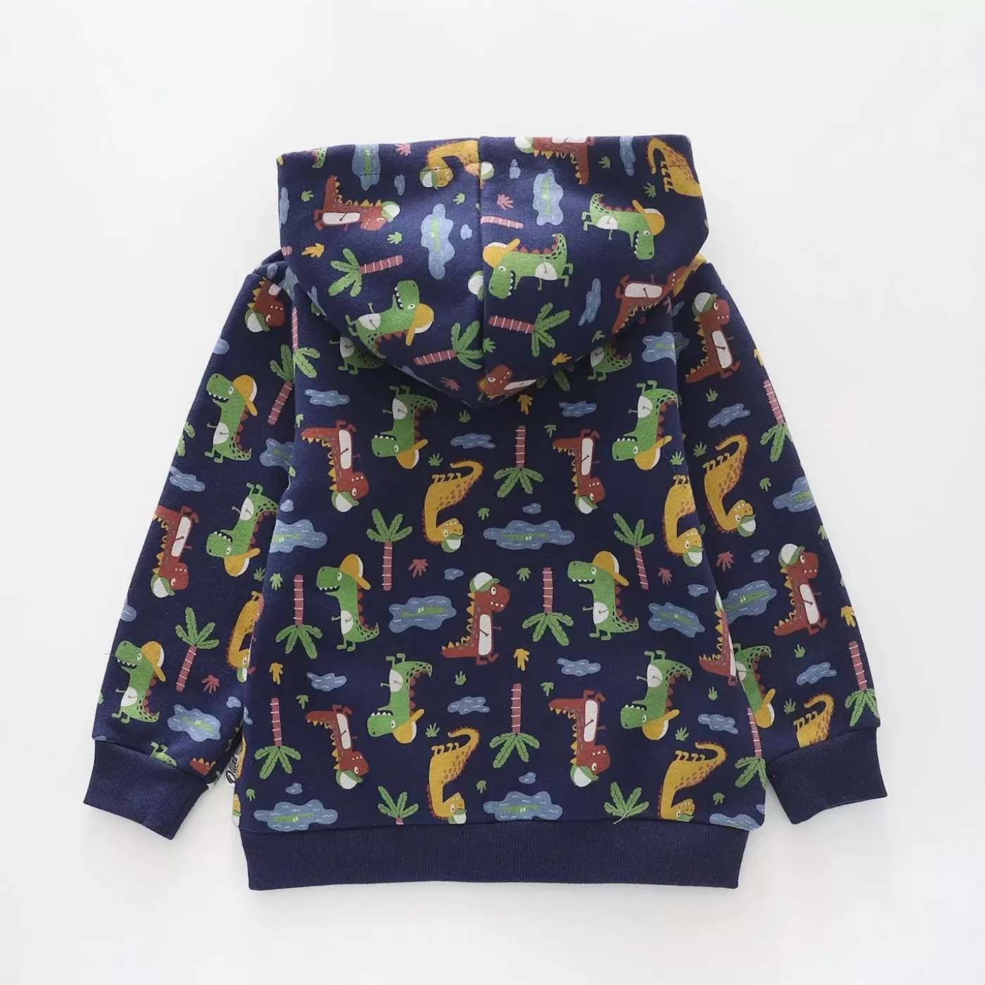 Ollies Place Dinosaurs, Boys Zip Hoodie<BOY Sweaters & Hoodies | 3-6M